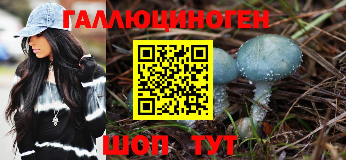 Псилоцибиновые грибы мицелий Канаш
