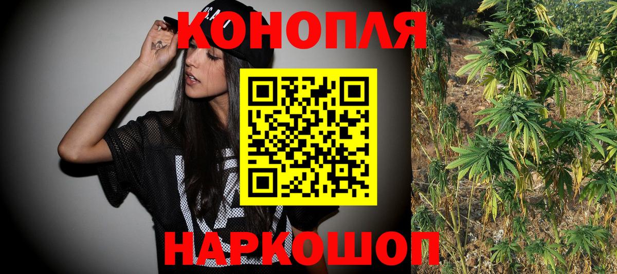Шишки марихуана план  Вход с VPN  Канаш  Бошки марихуана AK-47  Марихуана Amnesia 